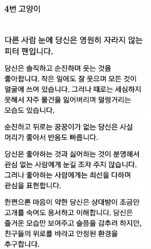 나와 닮은 고양이는?.jpg