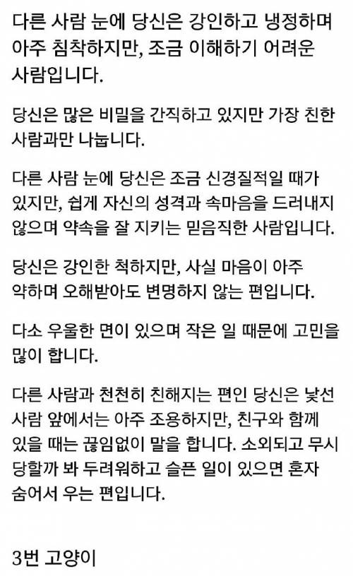 나와 닮은 고양이는?.jpg