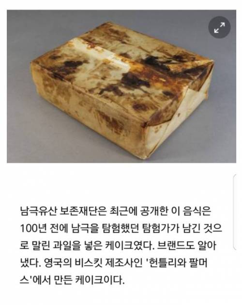 남극에서 100년 된 멀쩡한 과일 케이크 발견