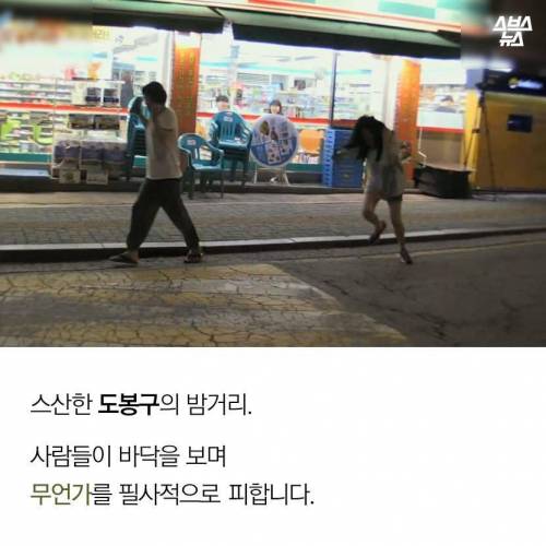 도봉구 밤거리를 점령한 생명체.jpg