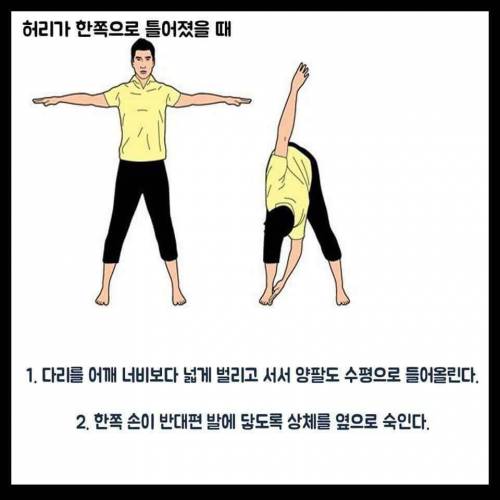 척추 운동합시다.jpg