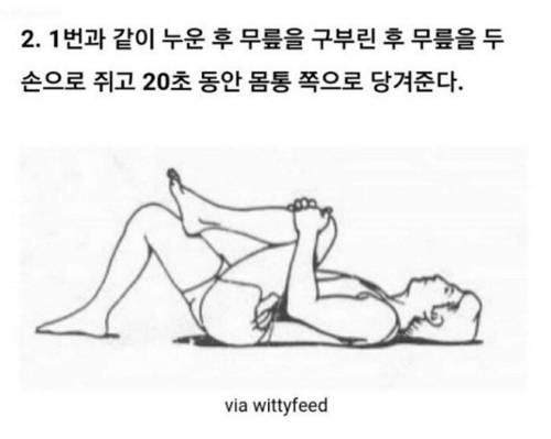 척추 운동합시다.jpg