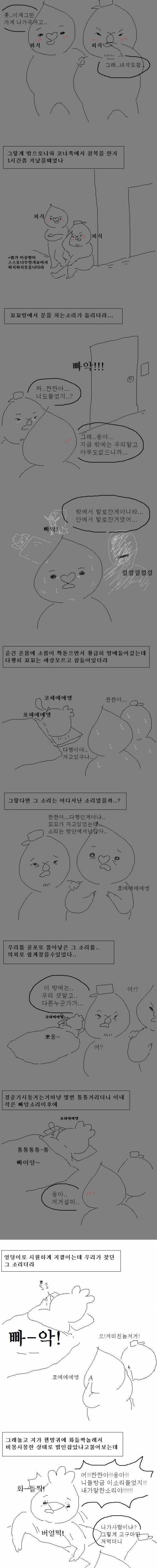 나 얼마전에 납량특집경험한만화.jpg