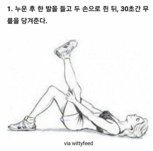 척추 운동합시다.jpg