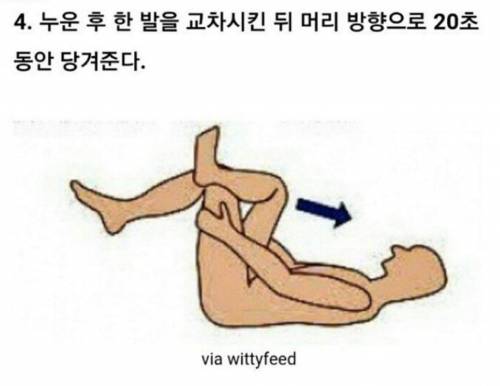 척추 운동합시다.jpg