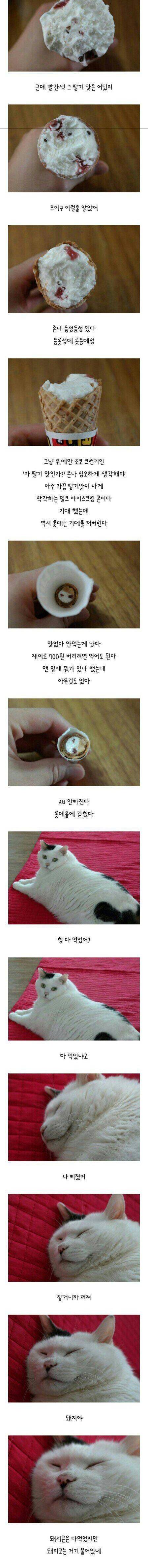 돼지바 콘버전 후기.jpg