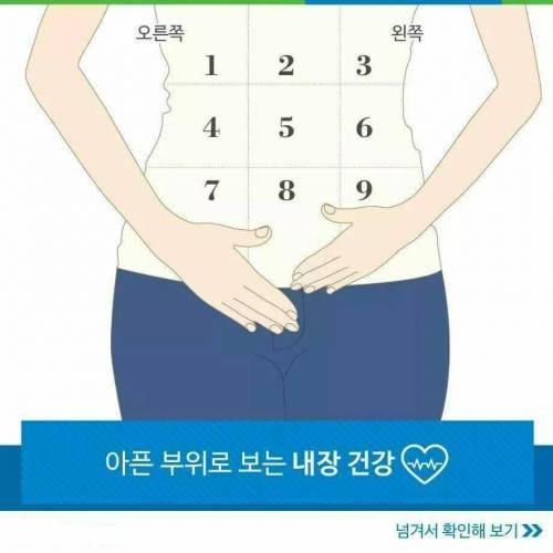 아픈 부위로 보는 내장 건강 .jpg