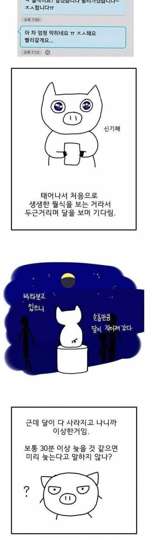 낙관적인 중고나라 사기피해자.jpg