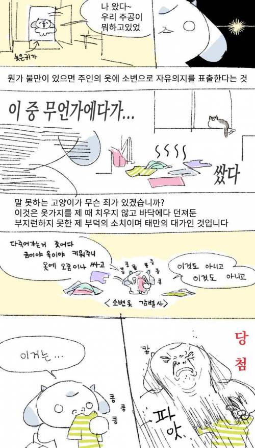 빨래에서 고양이 지린내 나는 만화.jpg