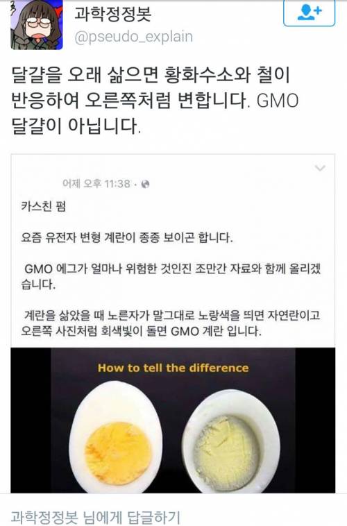 GMO 계란의 위험성.jpg