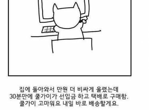 낙관적인 중고나라 사기피해자.jpg