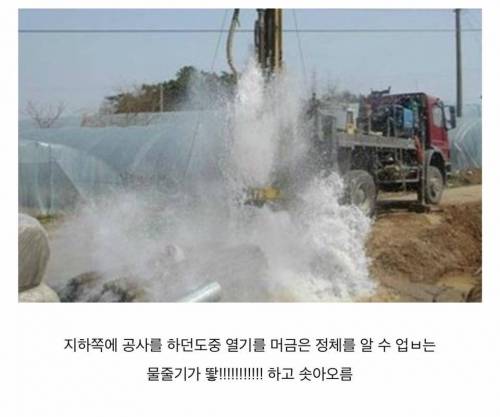 부산의 신세계 백화점에 찜질방이 있는 이유.jpg