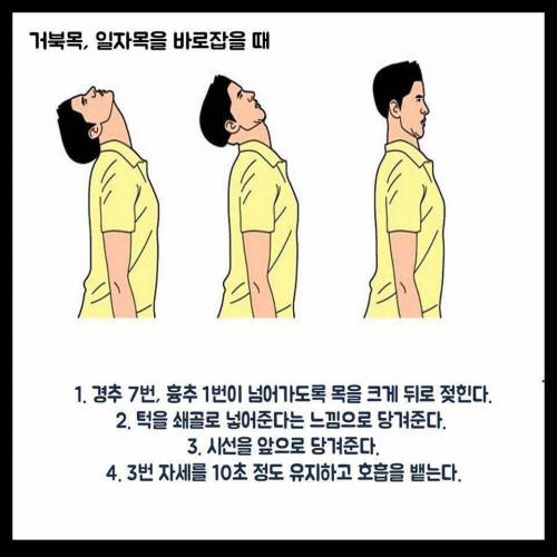 척추를 바로 잡는 스트레칭 방법