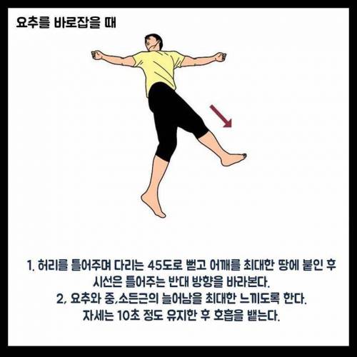 척추를 바로 잡는 스트레칭 방법