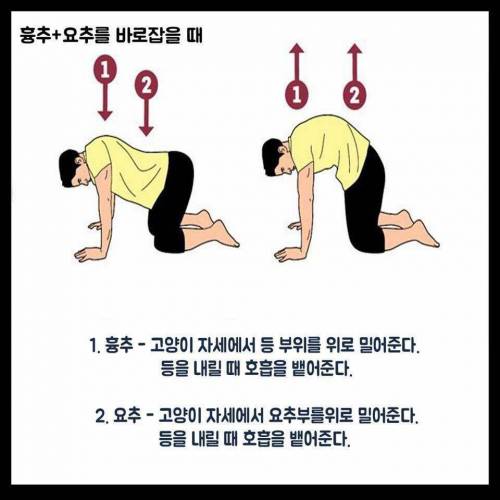 척추를 바로 잡는 스트레칭 방법