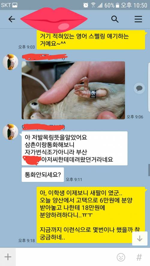 앵무새 되팔이학생.jpg