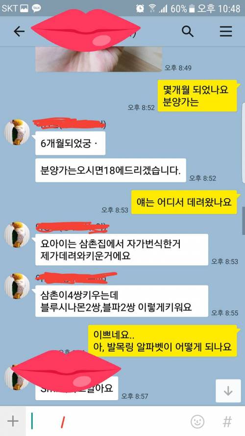 앵무새 되팔이학생.jpg