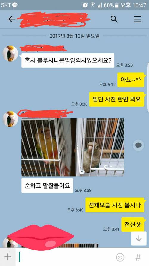 앵무새 되팔이학생.jpg