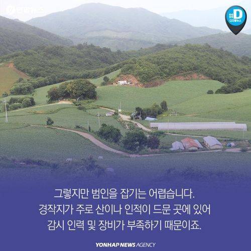 장난 아니고 도둑질입니다.jpg