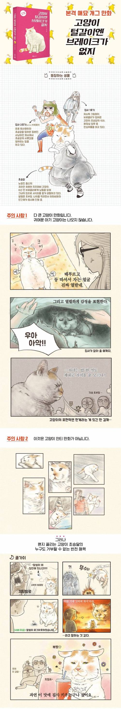 미화 1%도 없는 고양이 만화.jpg