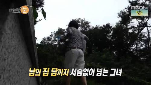 그녀는 캣맘.jpg