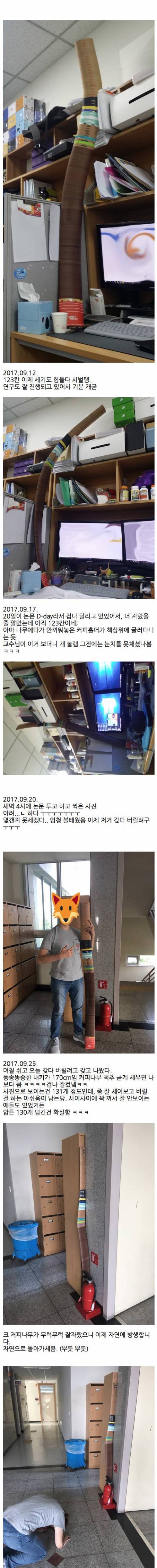 대학원생의 커피나무 육아 일기.jpg