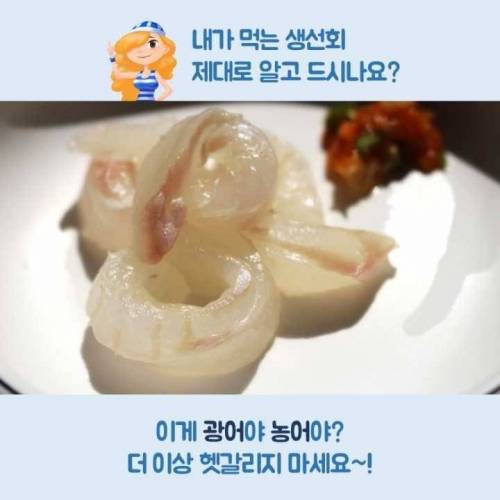 [스압]생선회 구별법.jpg