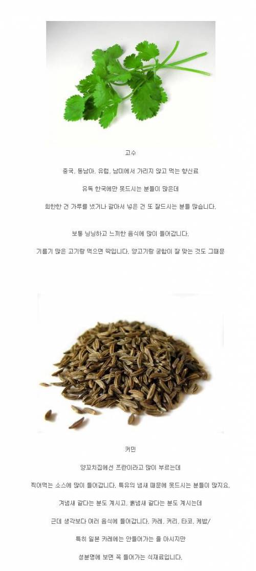 한국사람들이 잘 못먹는 식물 두가지.jpg