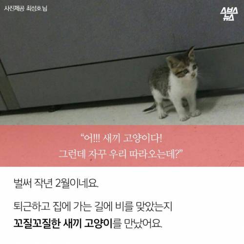 어쭈구리~! 퇴근 안 시켜줘?.jpg