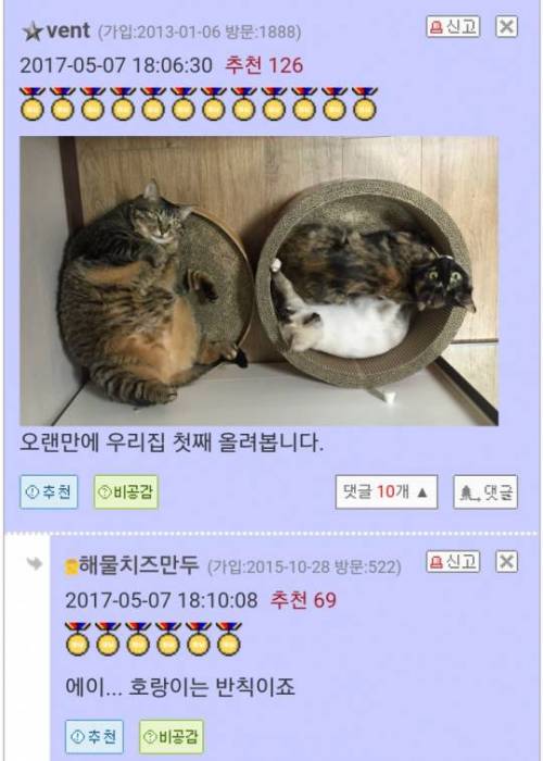 뚠뚠배틀을 신청한다.jpg