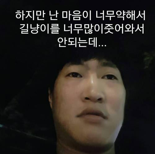 버려진 길냥이.jpg