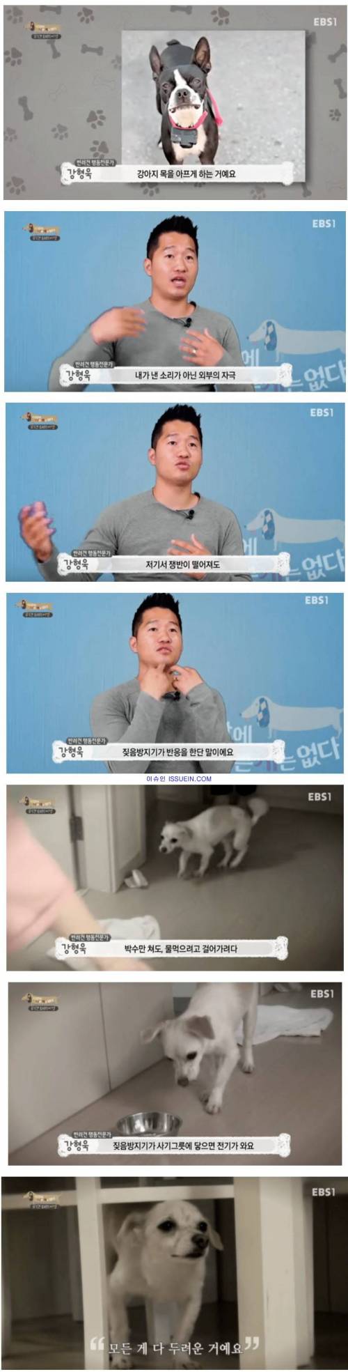 짖음 방지기는 엄연한 학대.jpg