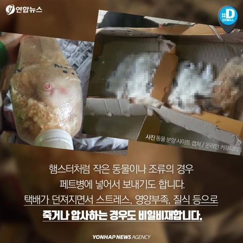 택배 상자 안에서 죽어가는 반려동물들 ...jpg