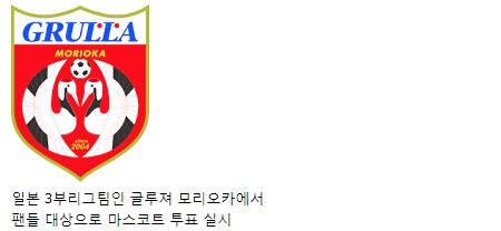 일본 축구팀 마스코트 투표 결과.jpg