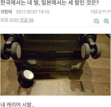 스핑크스도 몰랐던 것.jpg