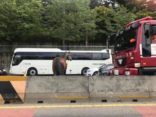 고속도로에서 길이 막히는 이유.jpg