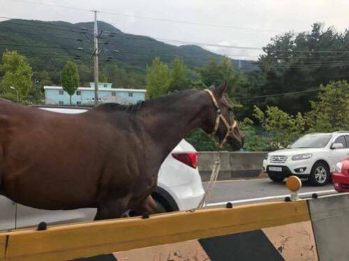 고속도로에서 길이 막히는 이유.jpg