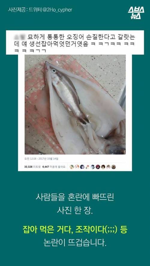 오징어 사서 배 갈랐는데.jpg