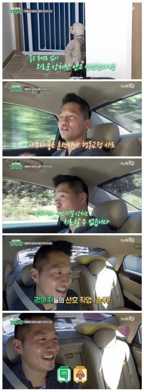 강아지가 원하는 주인 직업 1순위.jpg