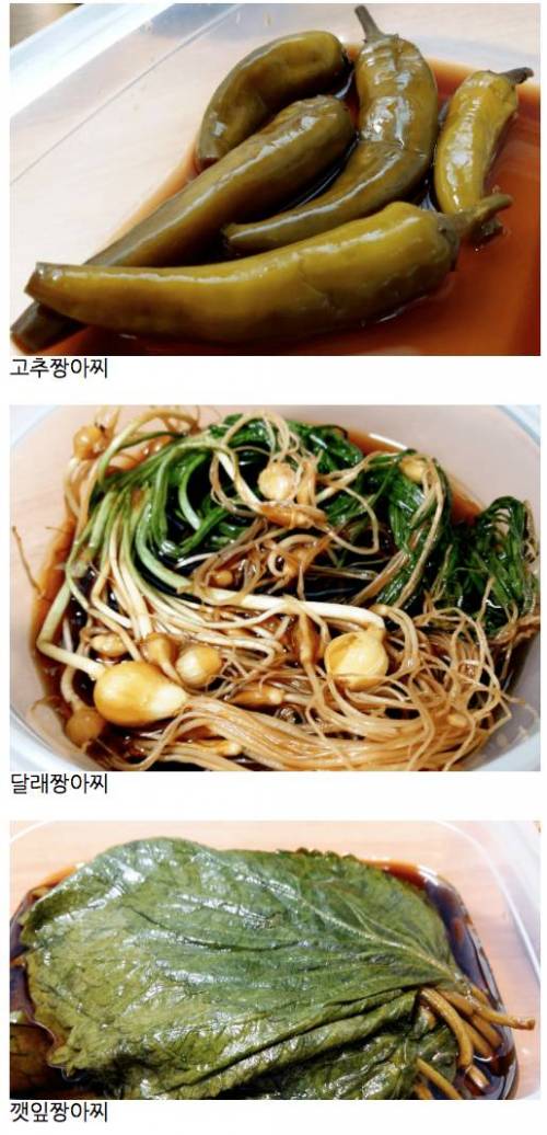 호불호 짱아찌 4대장.jpg