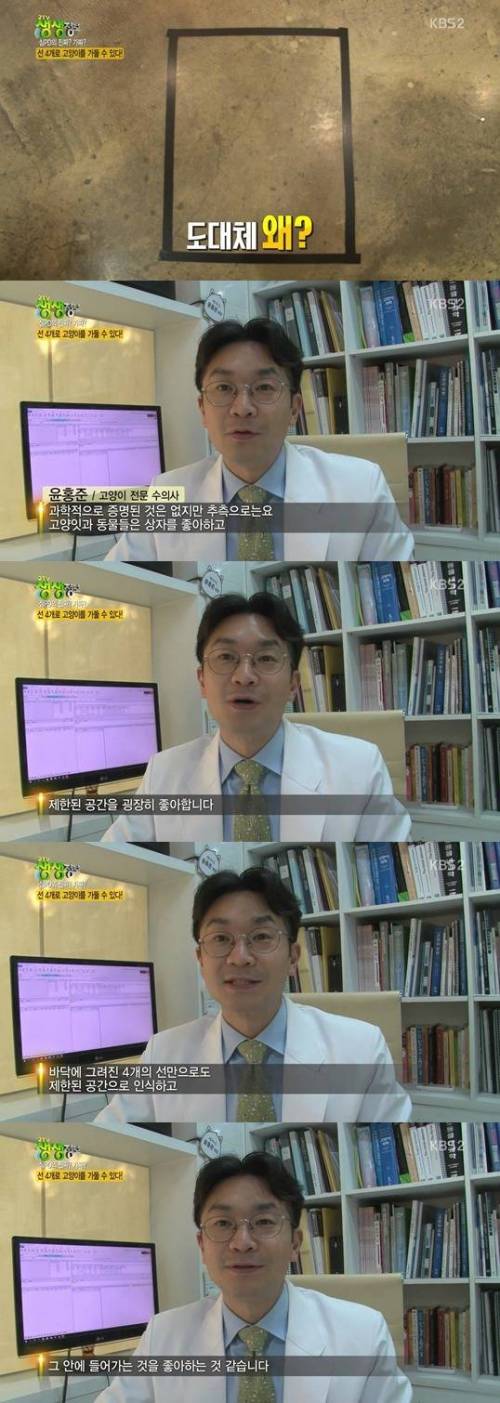 선 4개로 고양이를 가둘수 있을까?.jpg