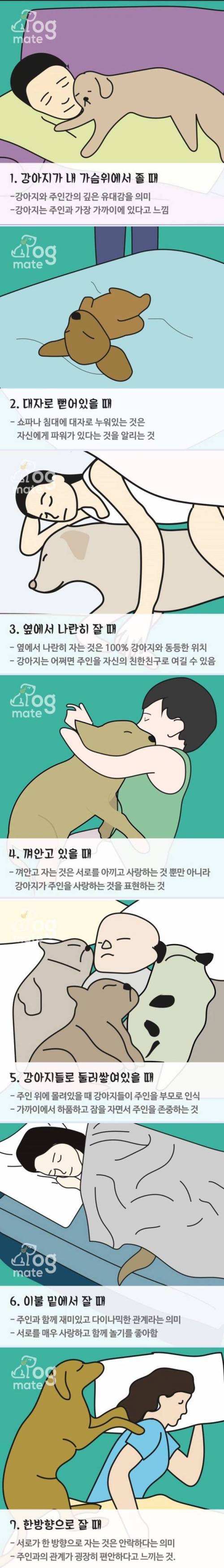 자는 자세로 보는 나와 강아지의 관계.jpg