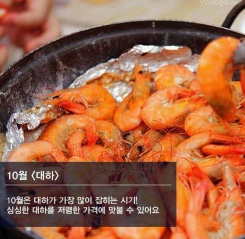 제철 해산물.jpg