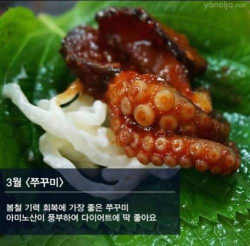 제철 해산물.jpg