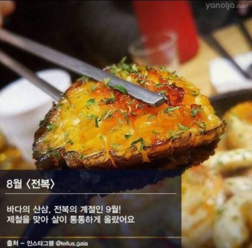 제철 해산물.jpg