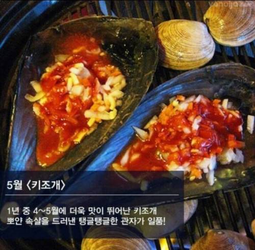 제철 해산물.jpg