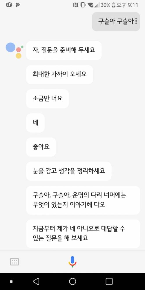 구글이 말해주는 운명의 다리.jpg