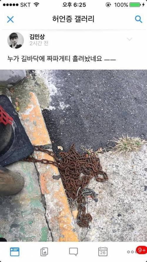 허언증갤러리.jpg