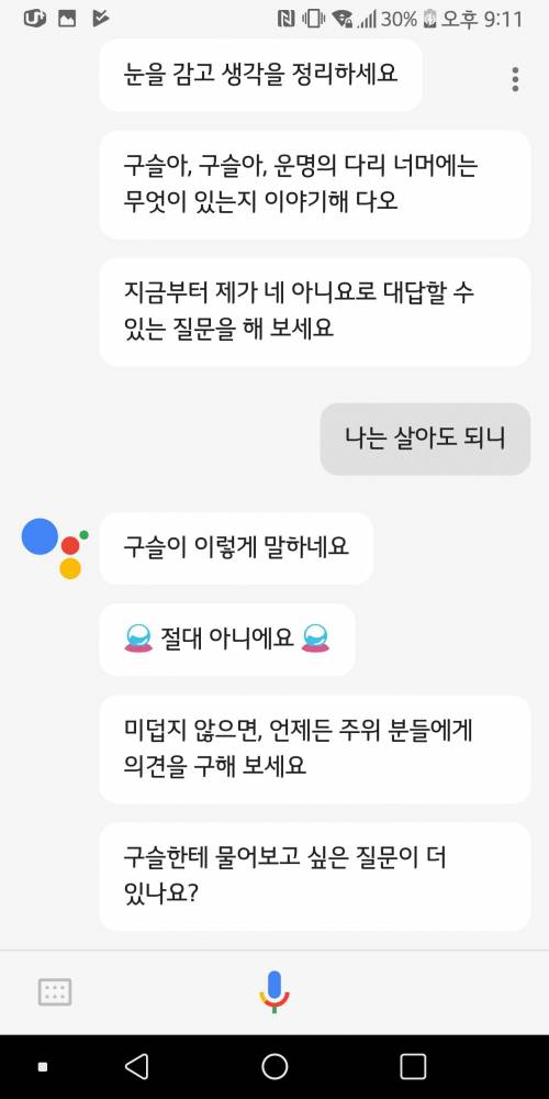 구글이 말해주는 운명의 다리.jpg