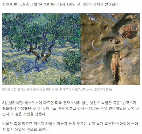 반고흐 그림에 128년 동안 붙어있던 메뚜기.jpg